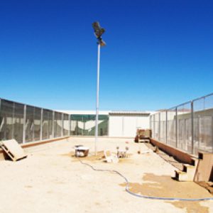 albergue-animales-jumilla-03