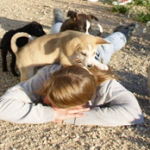 curso-educacion-canina