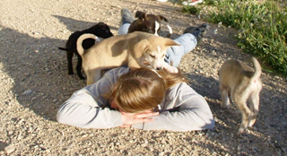 curso-educacion-canina