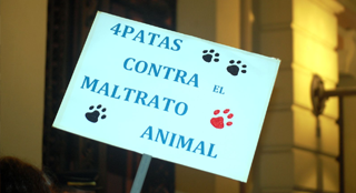 maltrato-anima-mani