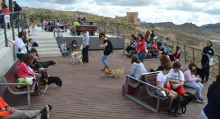 marcha-solidaria