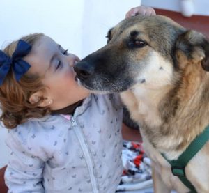 Niña acariciando a un perro que busca hogar