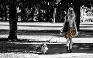 Un perro paseando con su dueña por un parque