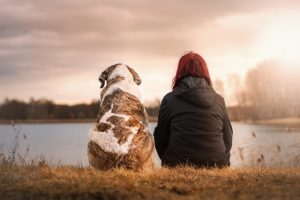 Un perro y una chica