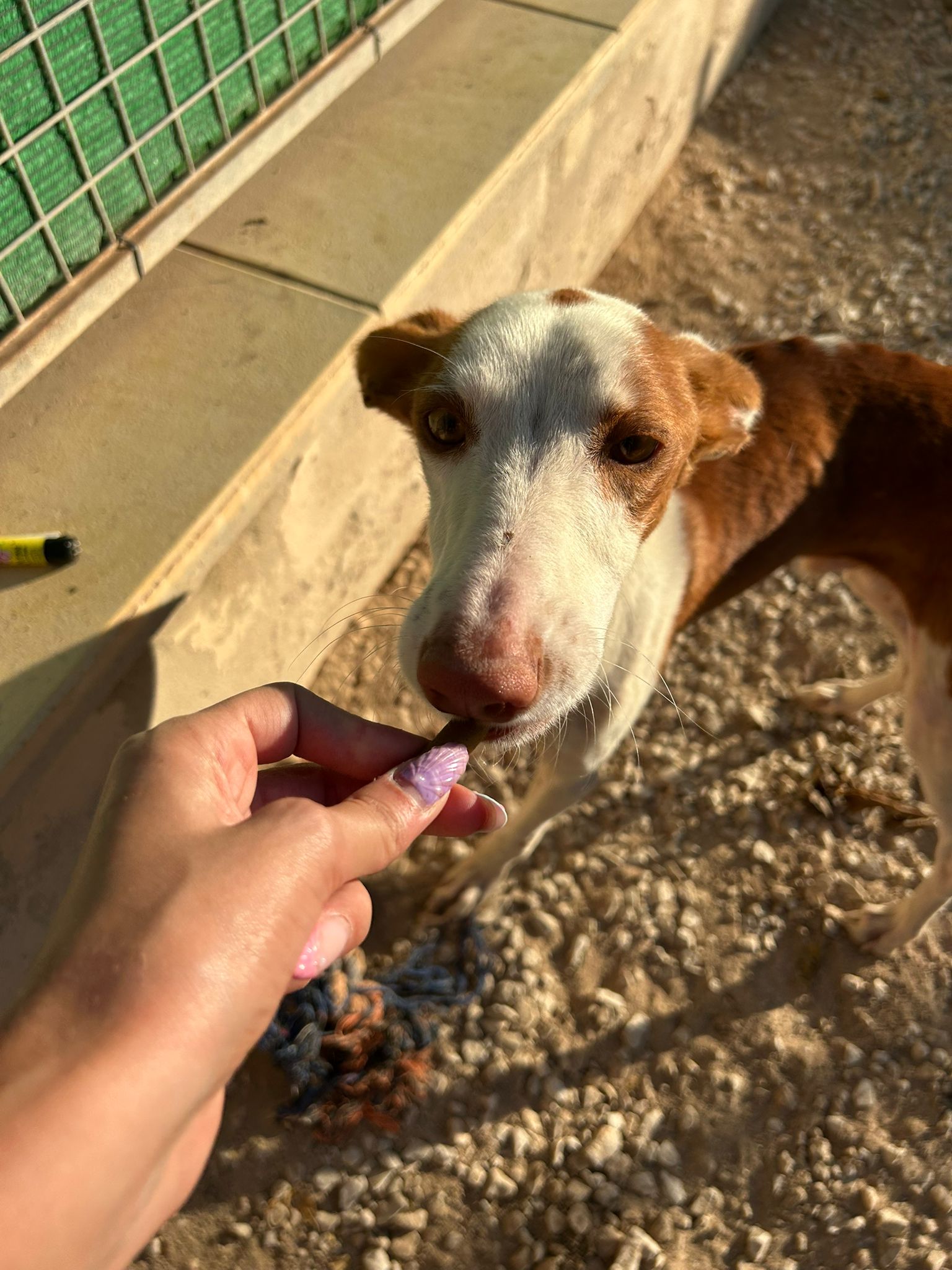 WhatsApp Image 2025-09-30 at 16.53.44