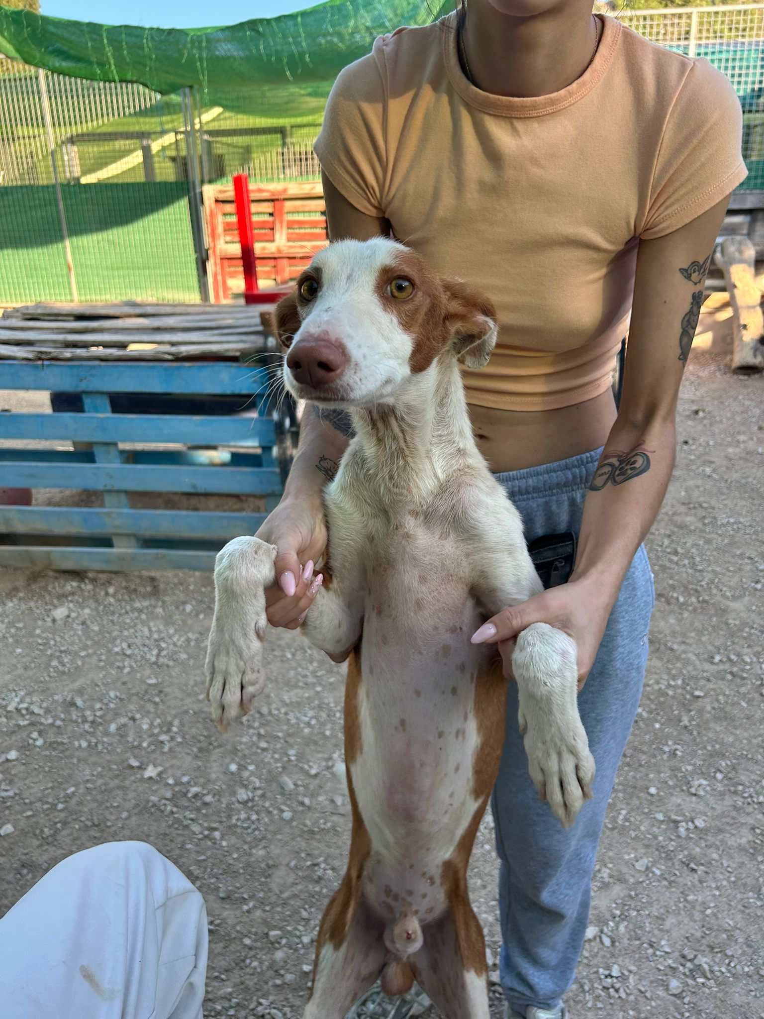 WhatsApp Image 2025-09-30 at 16.54.04