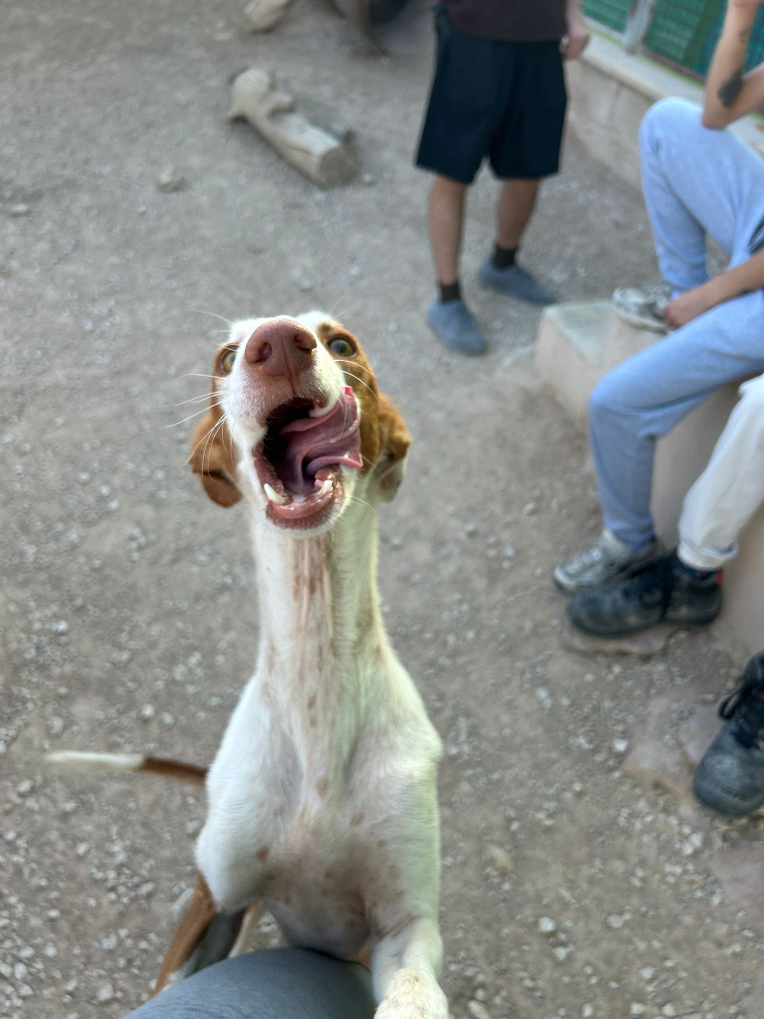 WhatsApp Image 2025-09-30 at 16.54.05