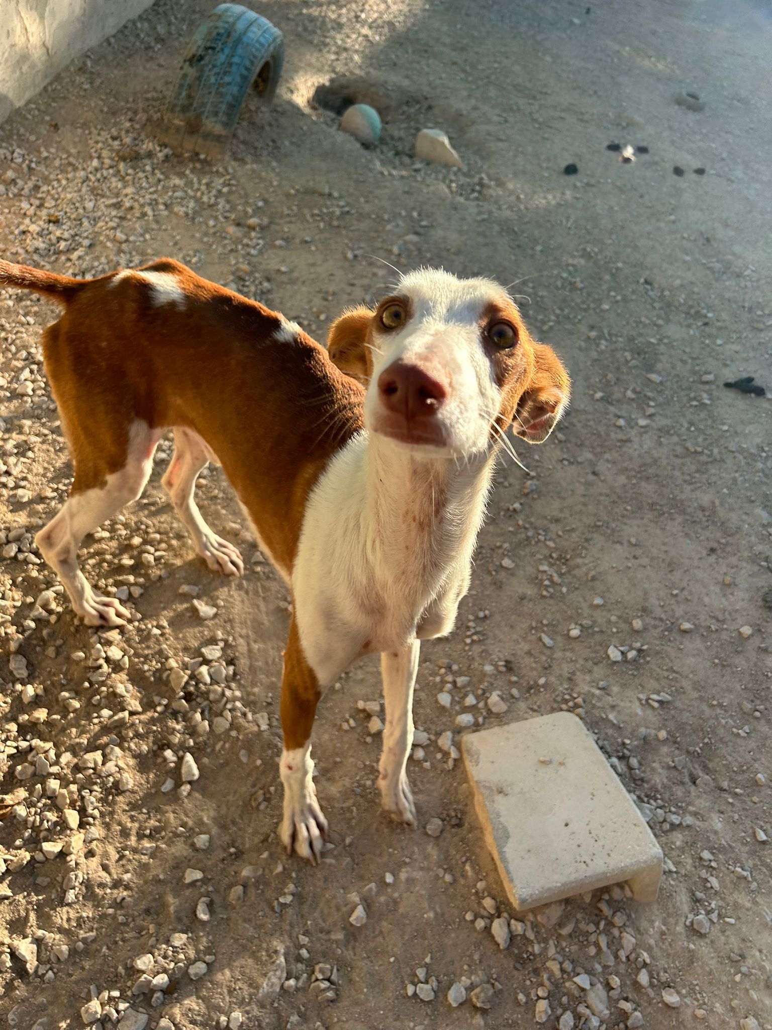 WhatsApp Image 2025-09-30 at 16.55.06