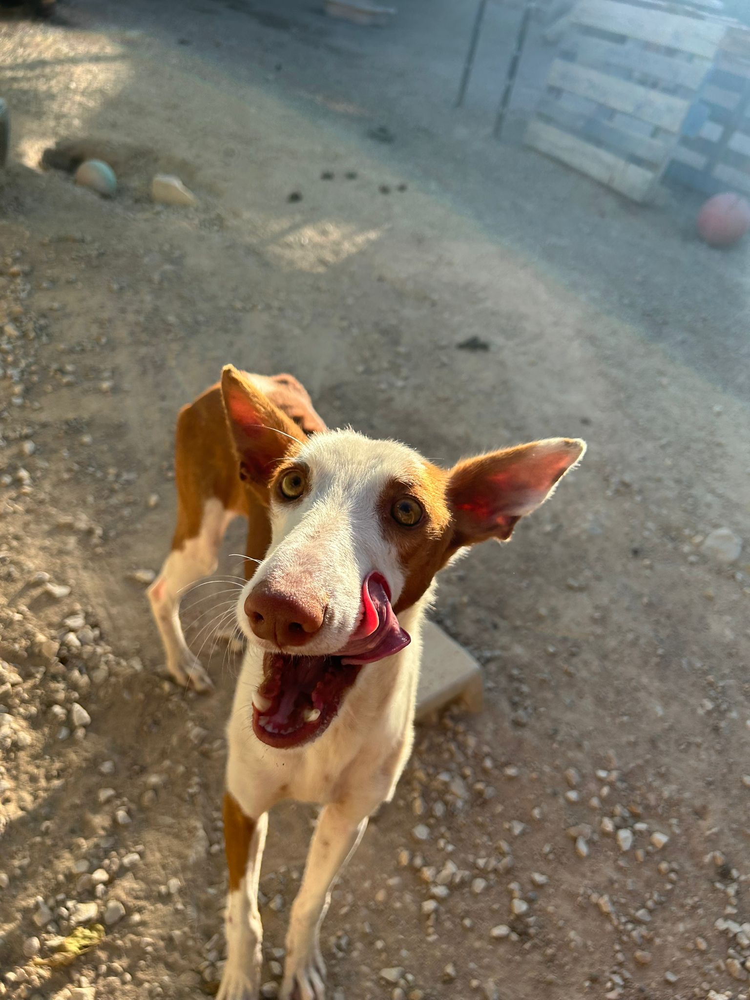 WhatsApp Image 2025-09-30 at 16.55.08