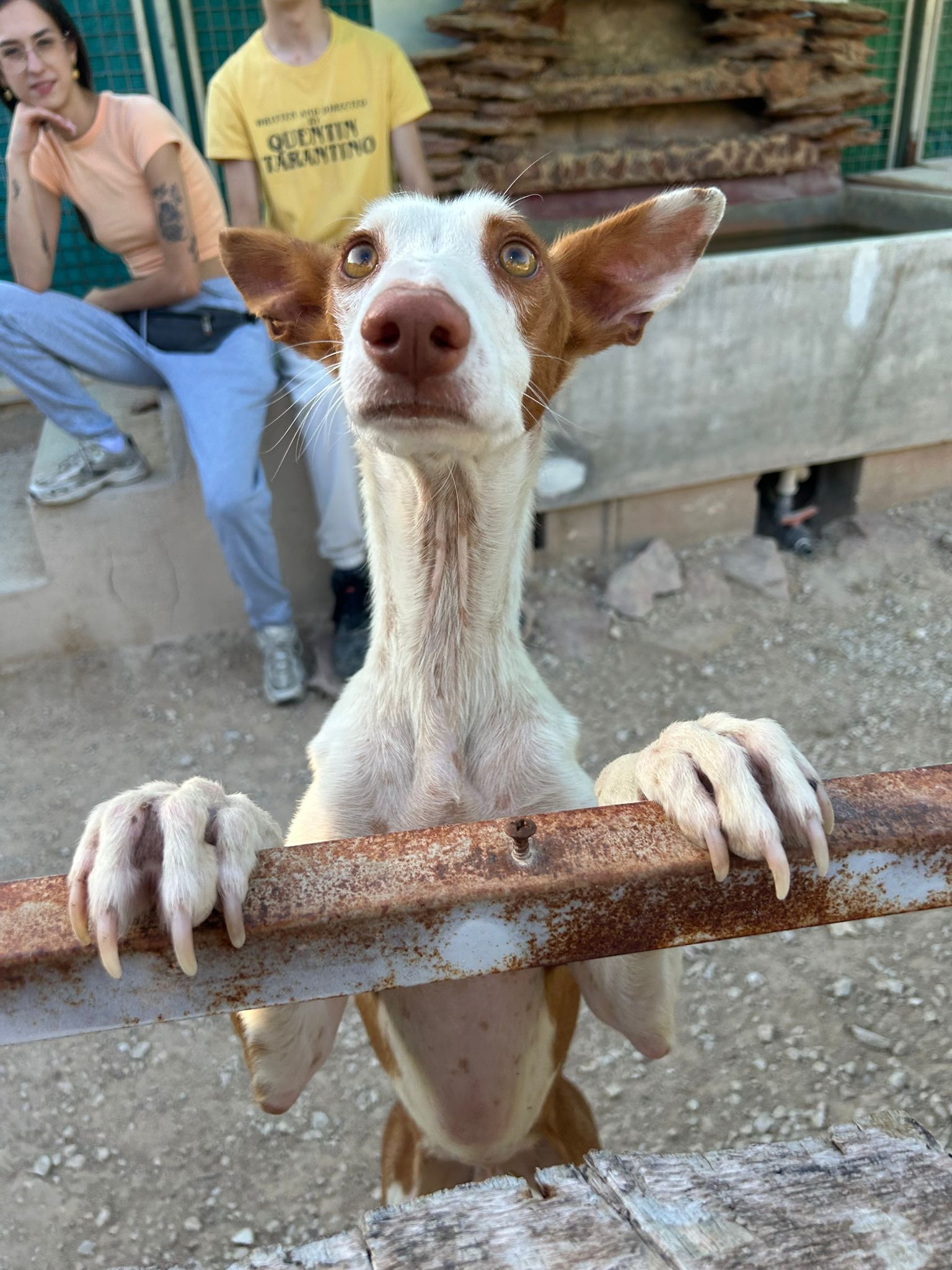 WhatsApp Image 2025-09-30 at 16.55.09 (1)