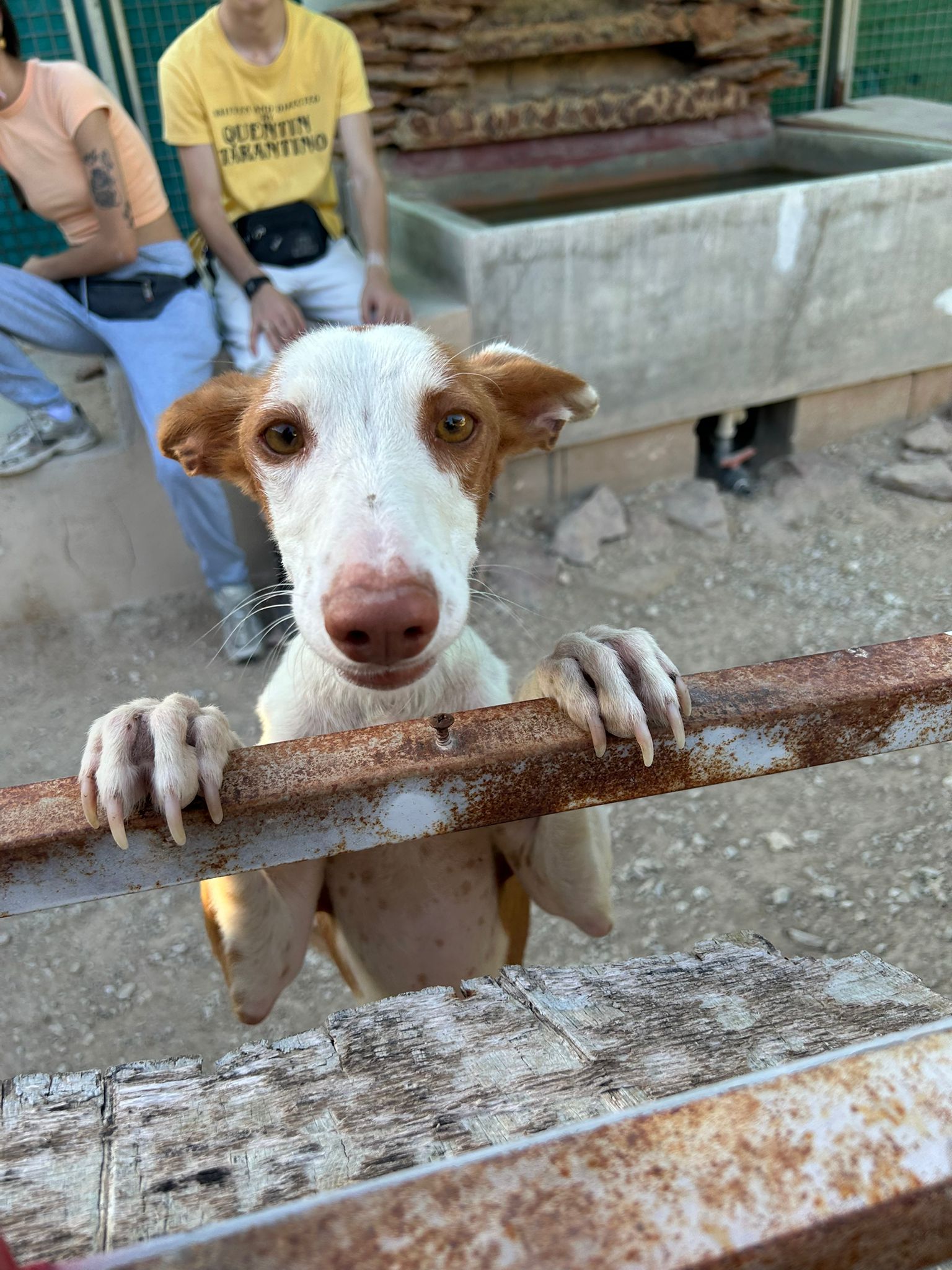 WhatsApp Image 2025-09-30 at 16.55.09