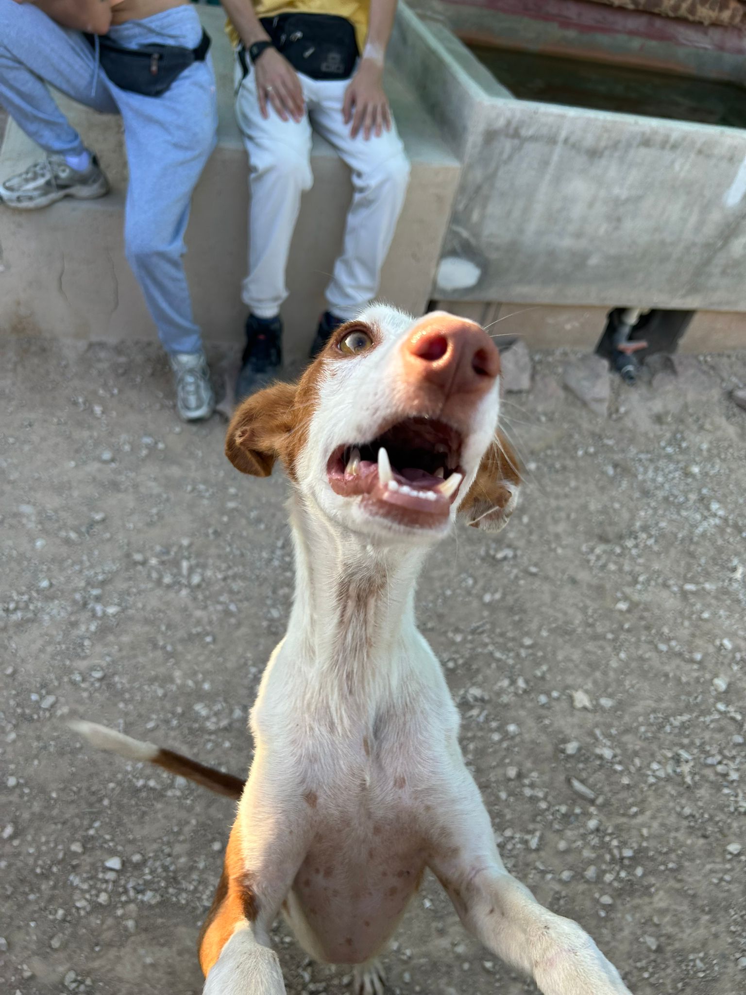 WhatsApp Image 2025-09-30 at 16.55.10