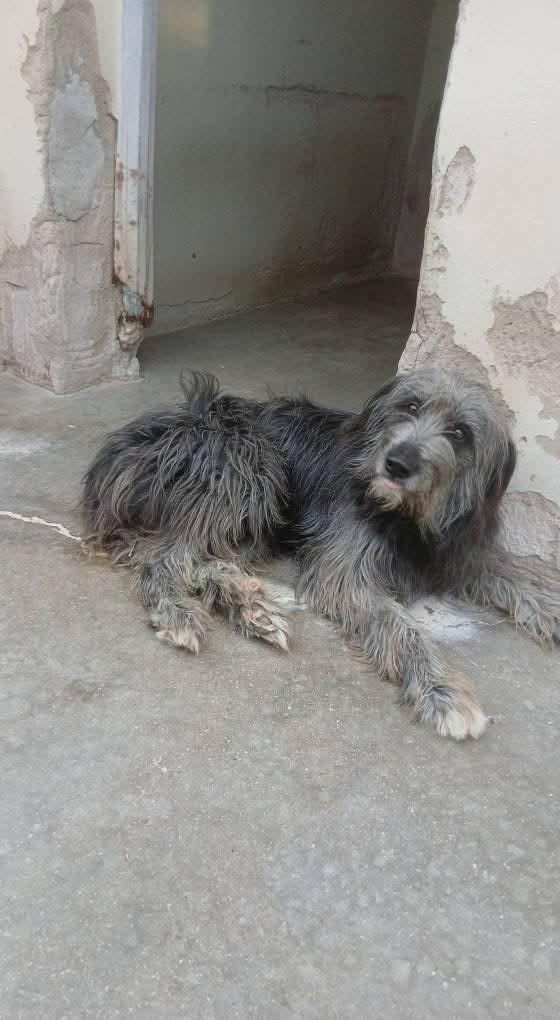 WhatsApp Image 2025-10-09 at 20.58.48 (1)