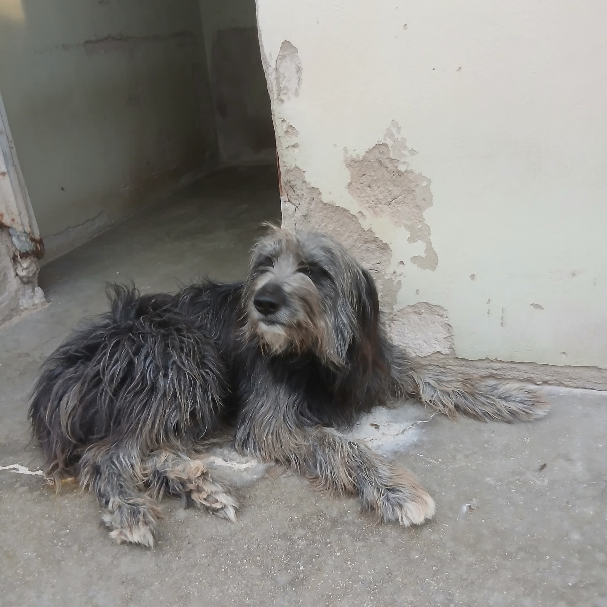 WhatsApp Image 2025-10-09 at 20.59.23 (1)