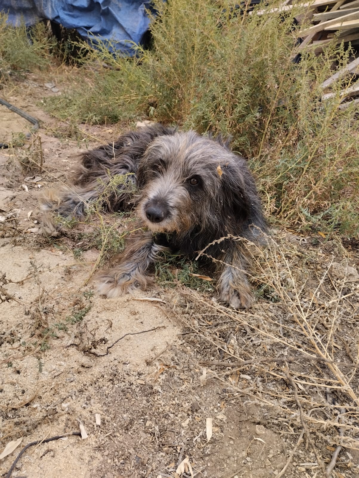 WhatsApp Image 2025-10-09 at 21.02.28 (1)