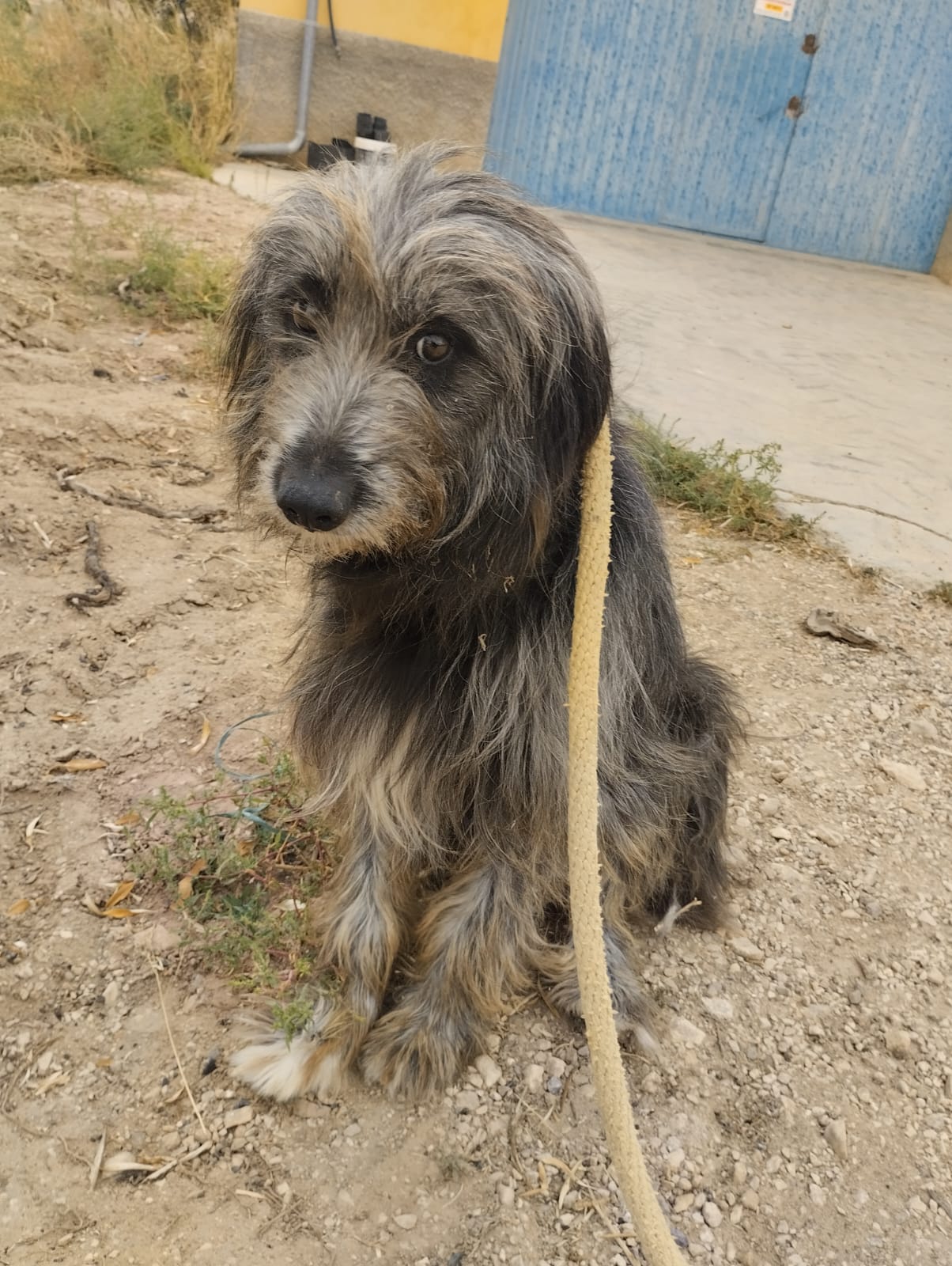 WhatsApp Image 2025-10-09 at 21.02.29 (1)