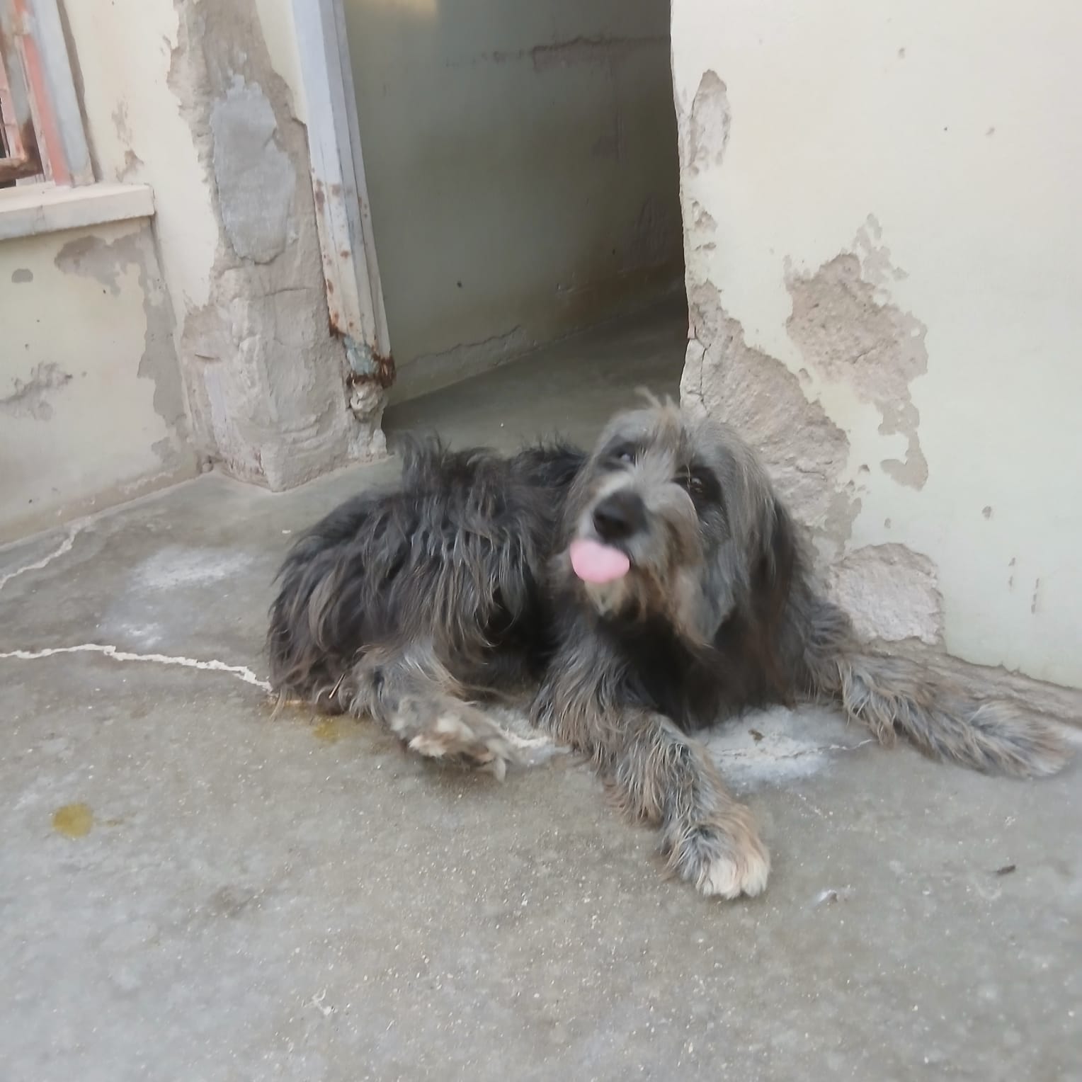 WhatsApp Image 2025-10-09 at 21.05.52 (1)