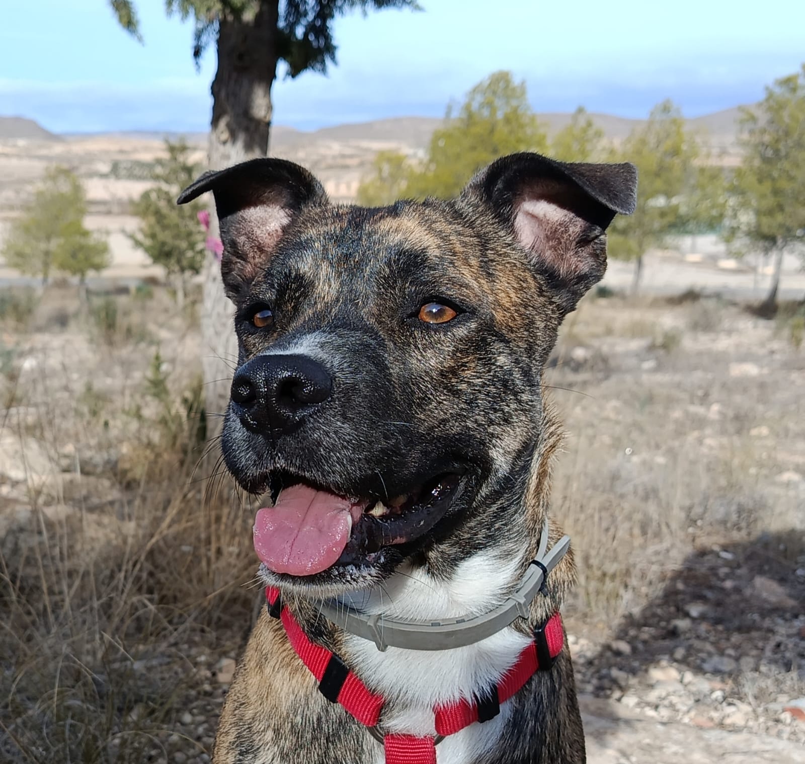 WhatsApp Image 2025-12-04 at 11.50.10