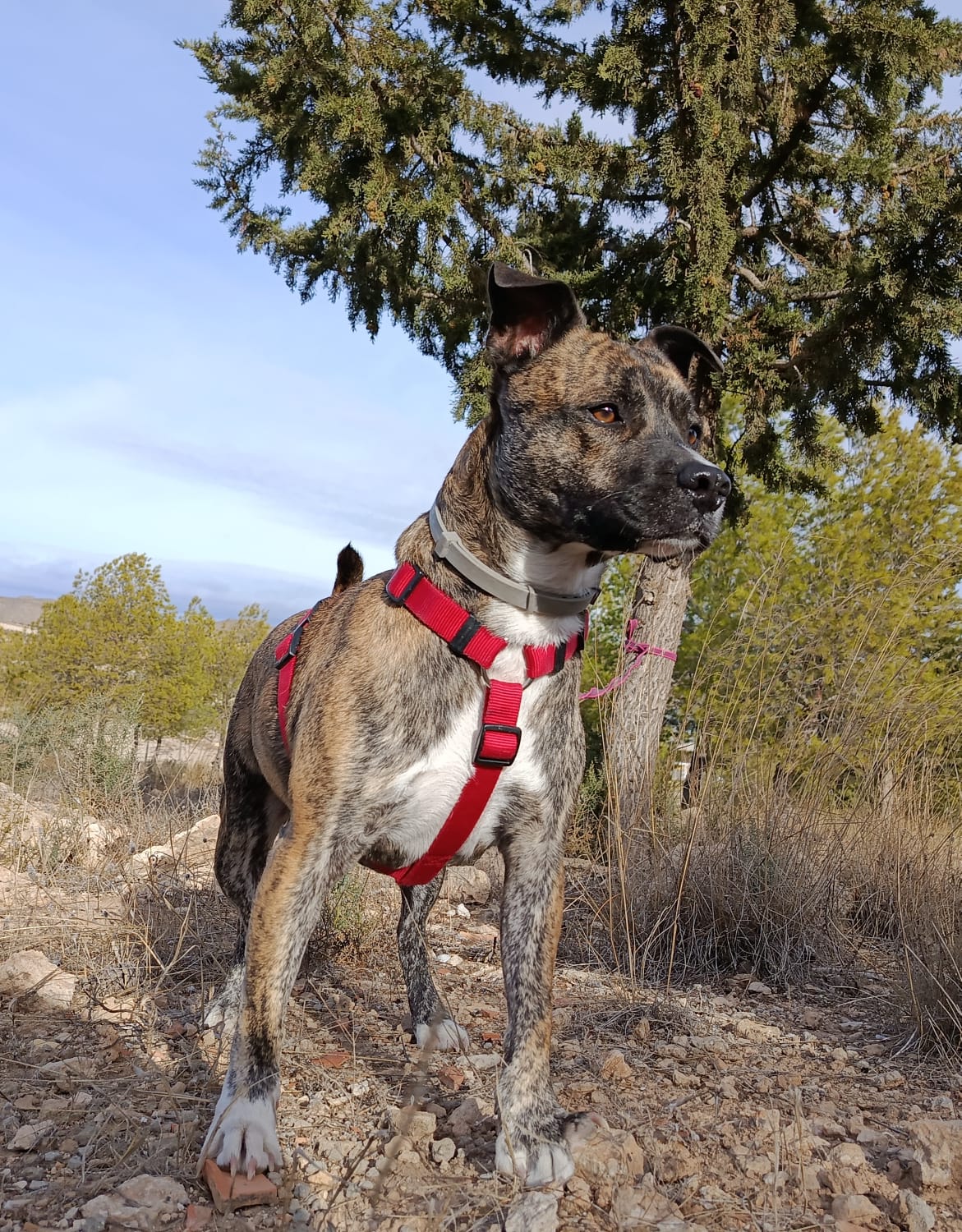 WhatsApp Image 2025-12-04 at 11.50.44 (1)