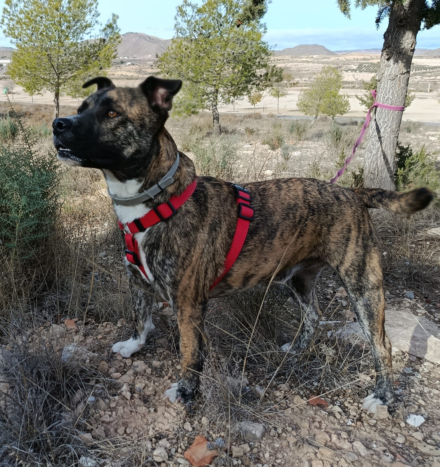 WhatsApp Image 2025-12-04 at 11.50.48 (1)