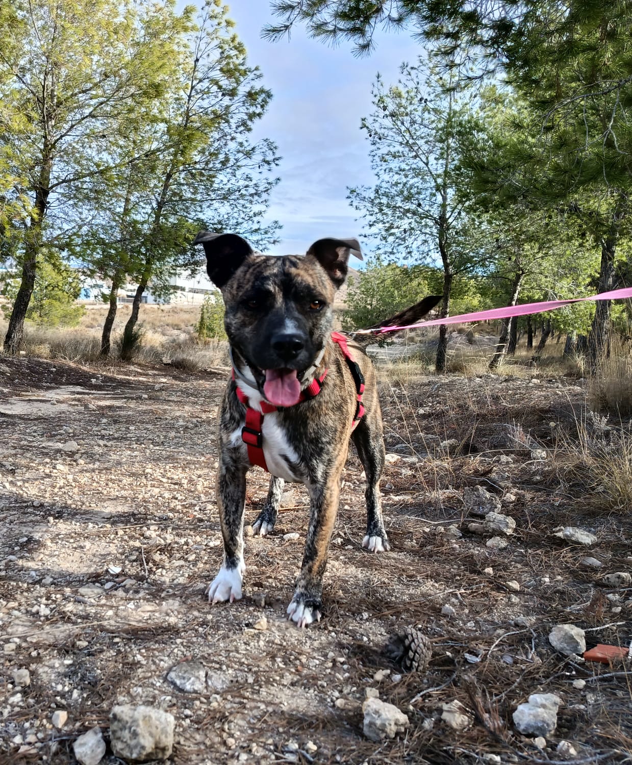 WhatsApp Image 2025-12-04 at 11.50.49 (6)