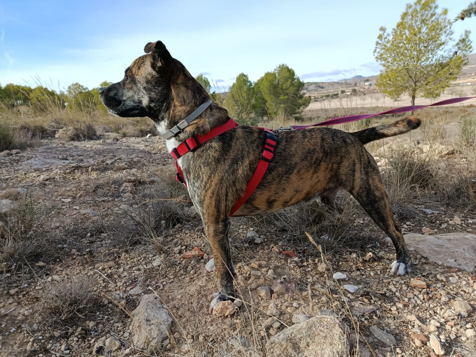 WhatsApp Image 2025-12-04 at 13.53.10 (1)