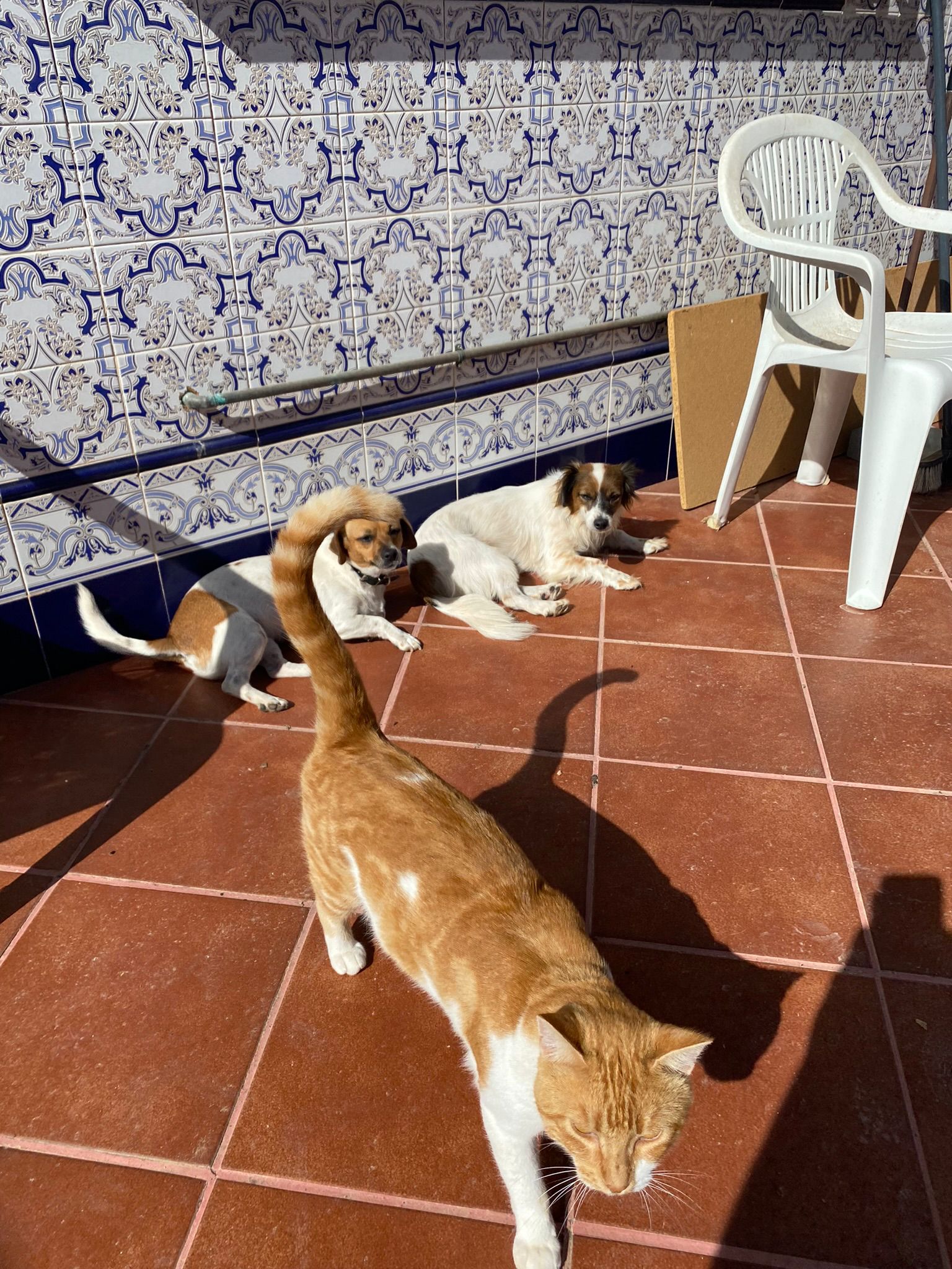 WhatsApp Image 2025-12-17 at 16.52.36 (2)