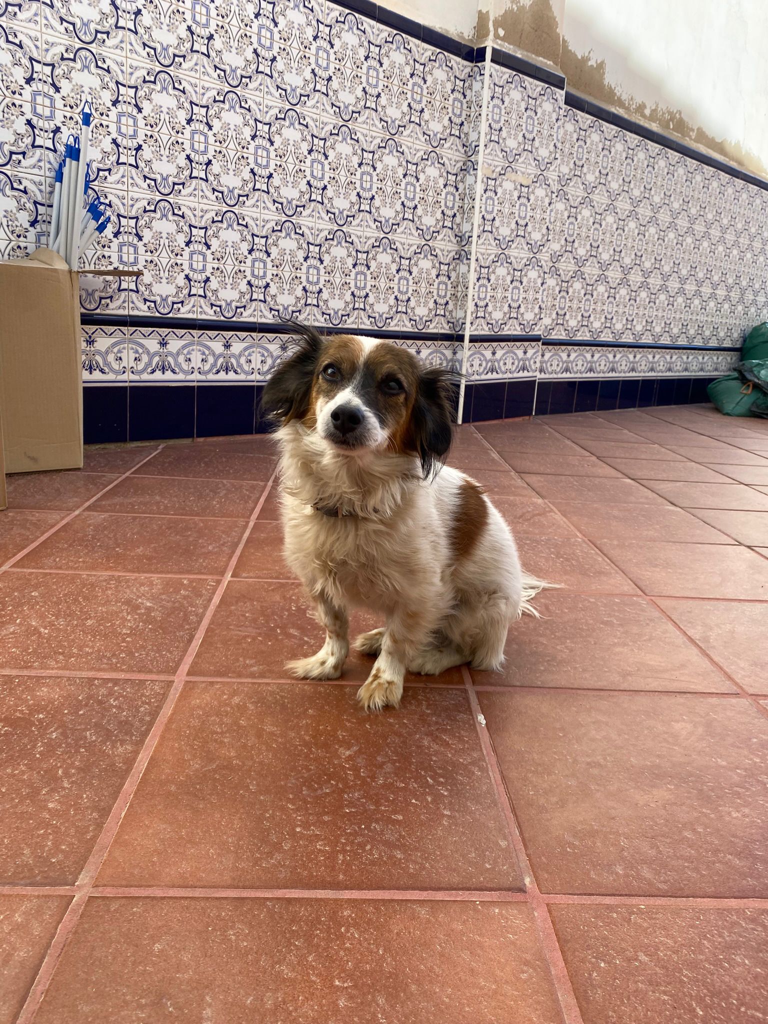 WhatsApp Image 2025-12-17 at 16.52.36 (4)