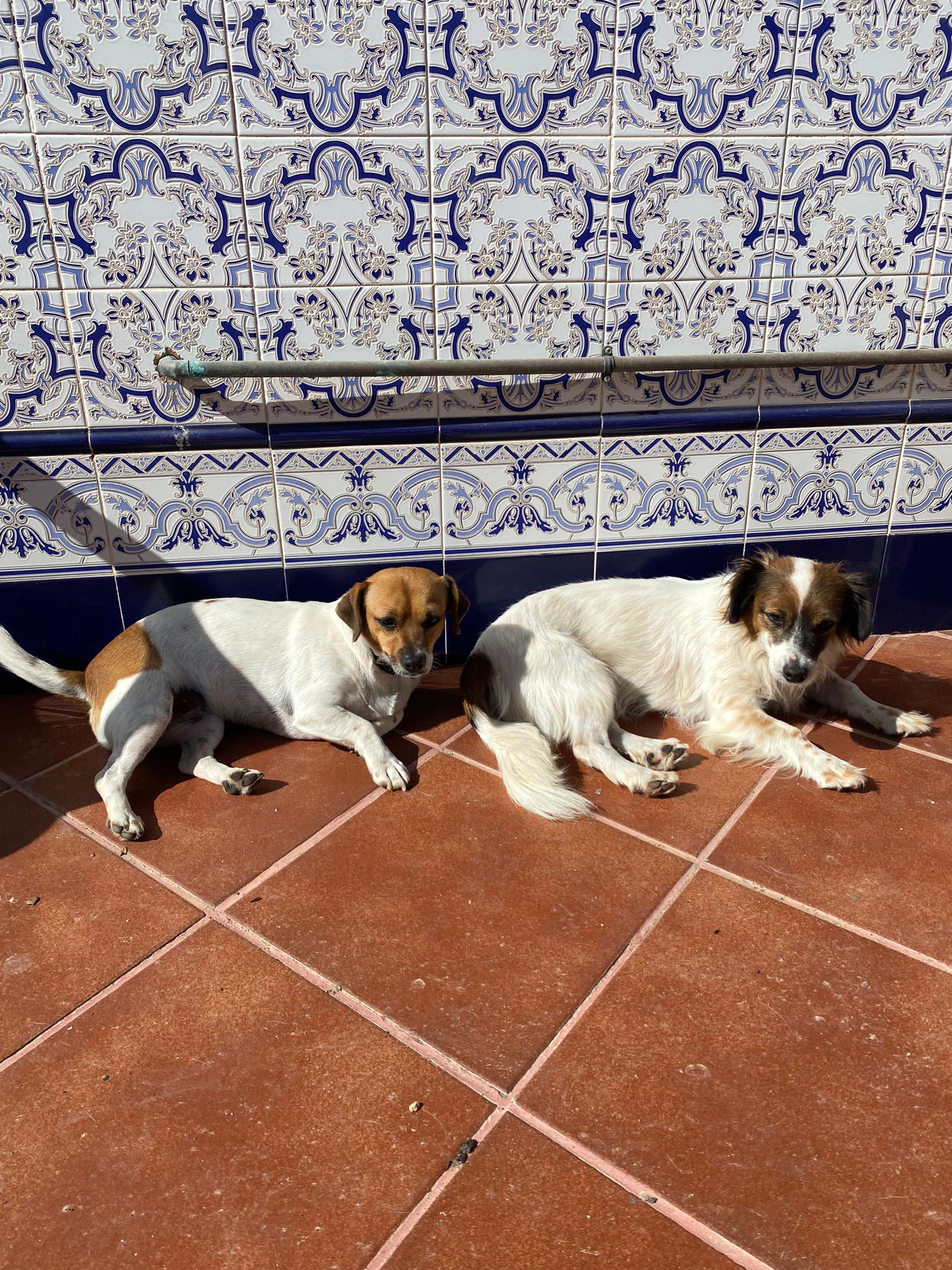 WhatsApp Image 2025-12-17 at 16.52.36