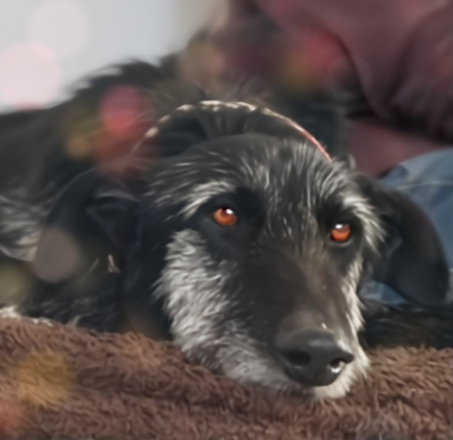 633308755_933818105977554_42014107866469416_n