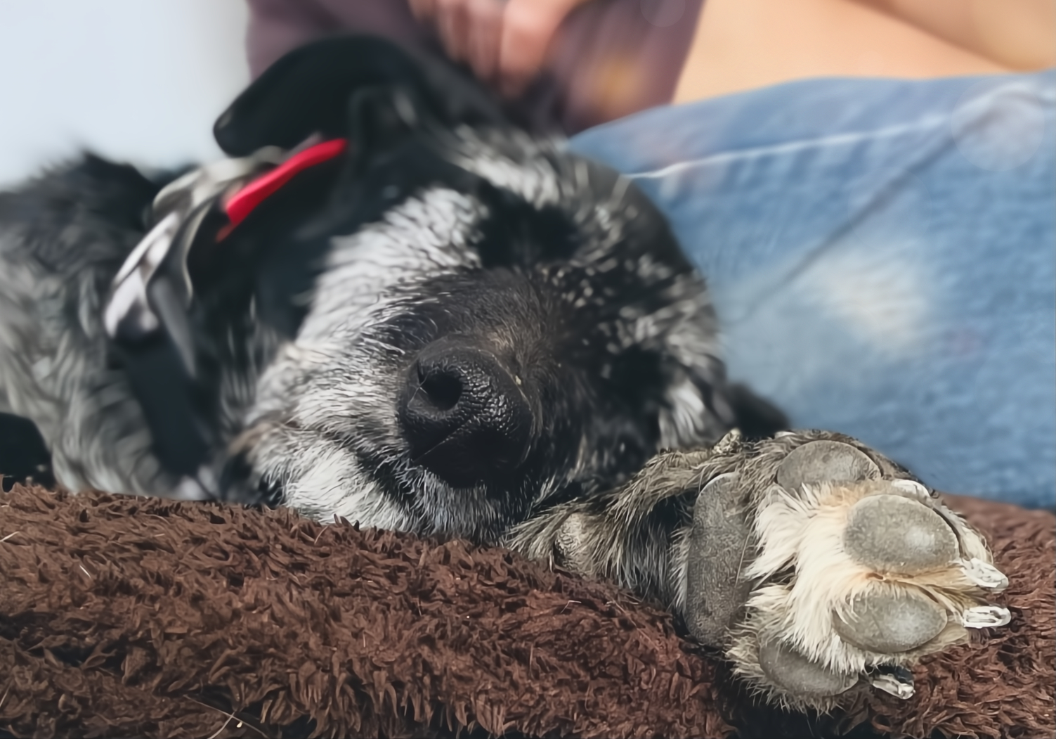 633734153_933818579310840_6946173011963927755_n