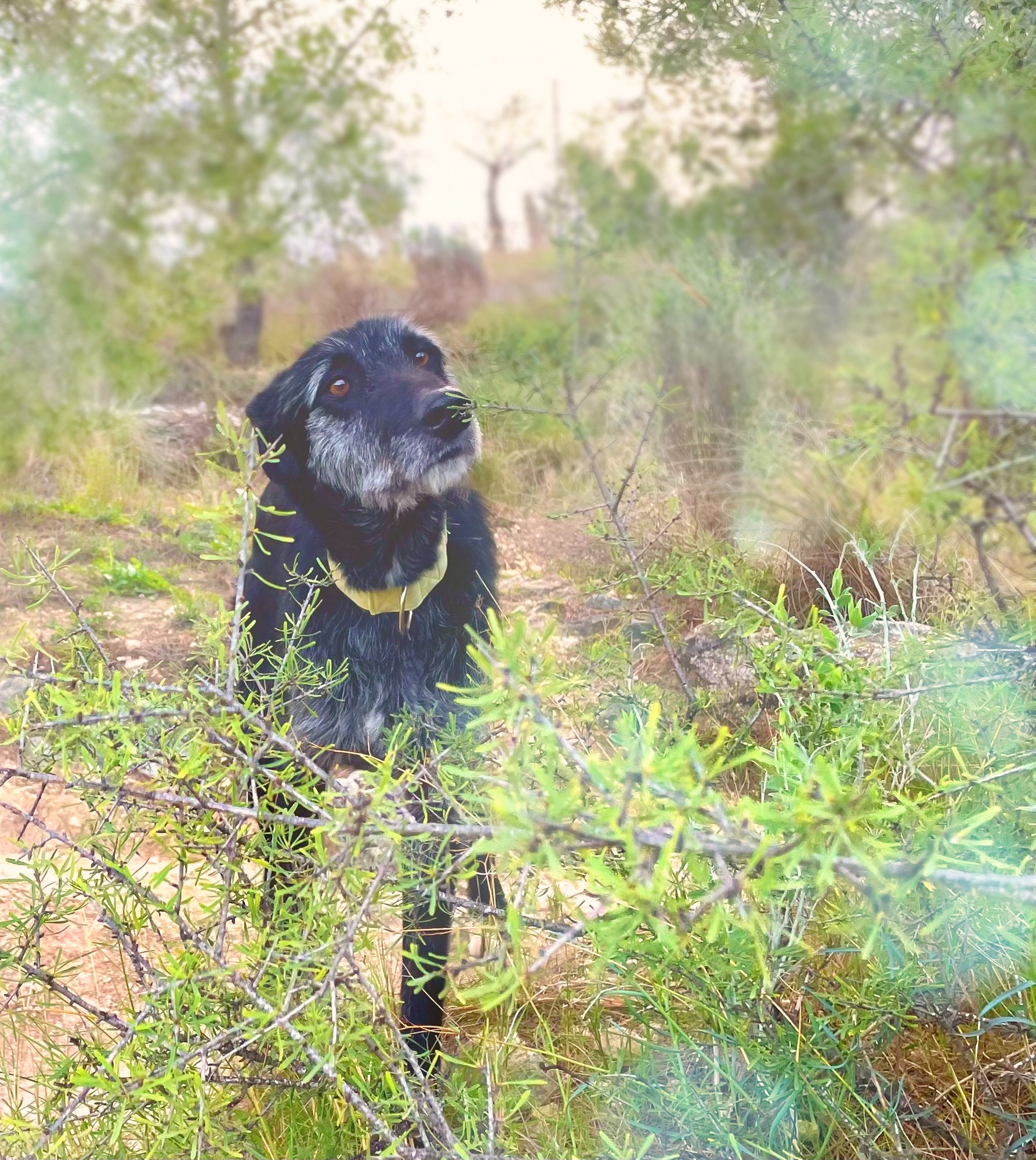 633934919_934636292562402_1013075719433859930_n