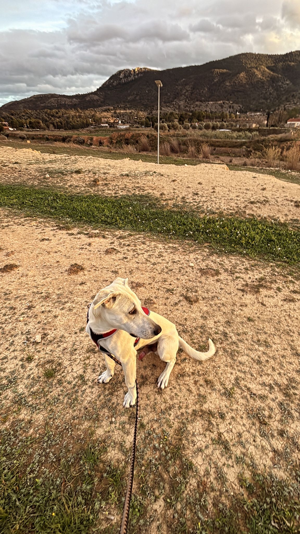 WhatsApp Image 2026-02-22 at 13.54.06