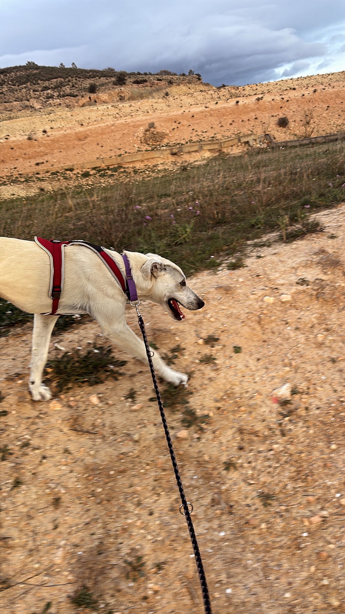 WhatsApp Image 2026-02-22 at 13.54.07 (1)