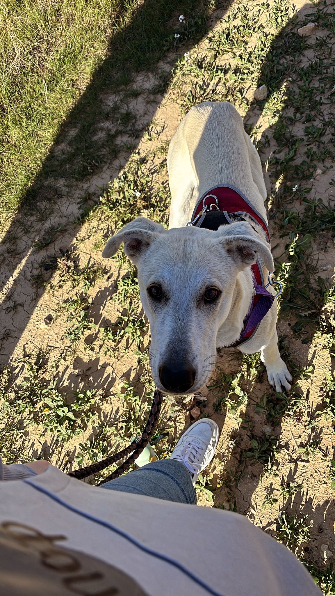 WhatsApp Image 2026-02-22 at 13.54.07 (2)