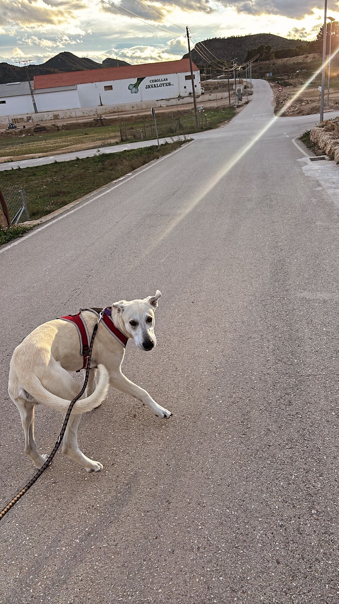 WhatsApp Image 2026-02-22 at 13.54.07