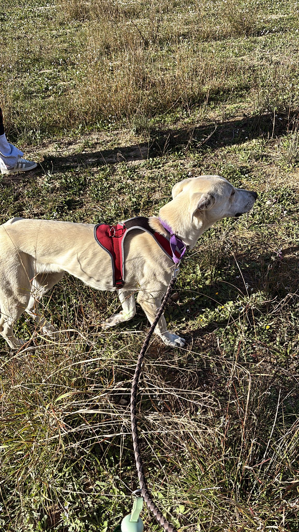 WhatsApp Image 2026-02-22 at 13.54.08