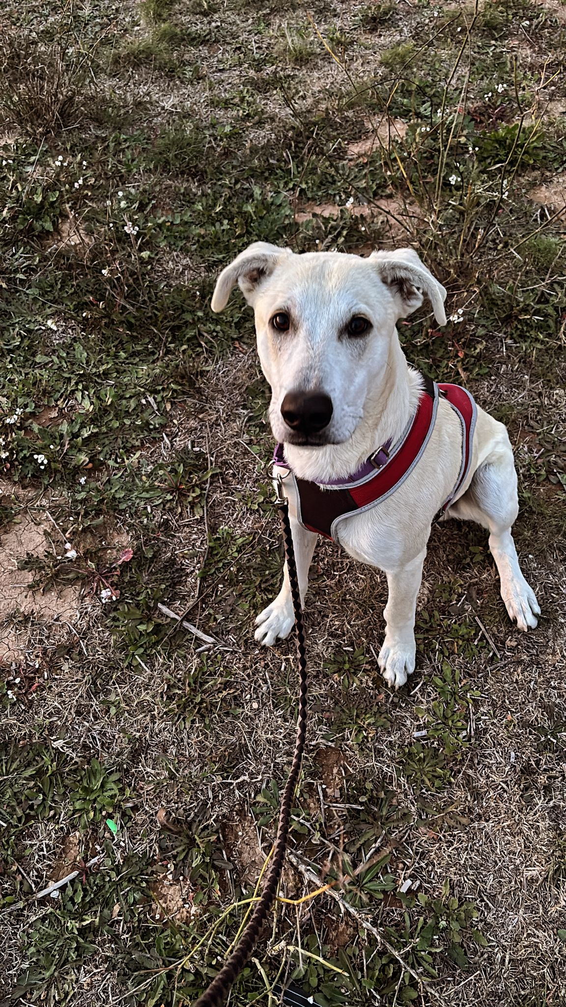 WhatsApp Image 2026-02-22 at 13.54.23