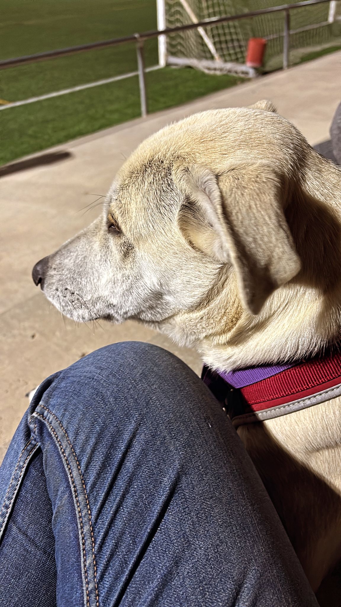 WhatsApp Image 2026-02-22 at 13.54.24 (1)