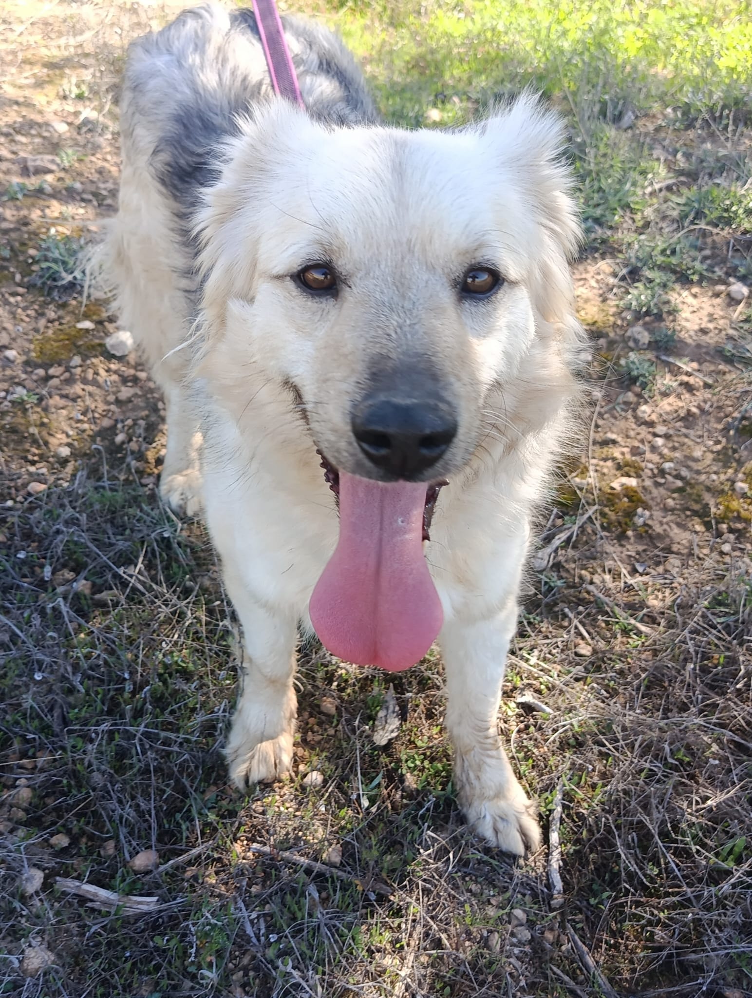 WhatsApp Image 2026-02-24 at 12.29.40