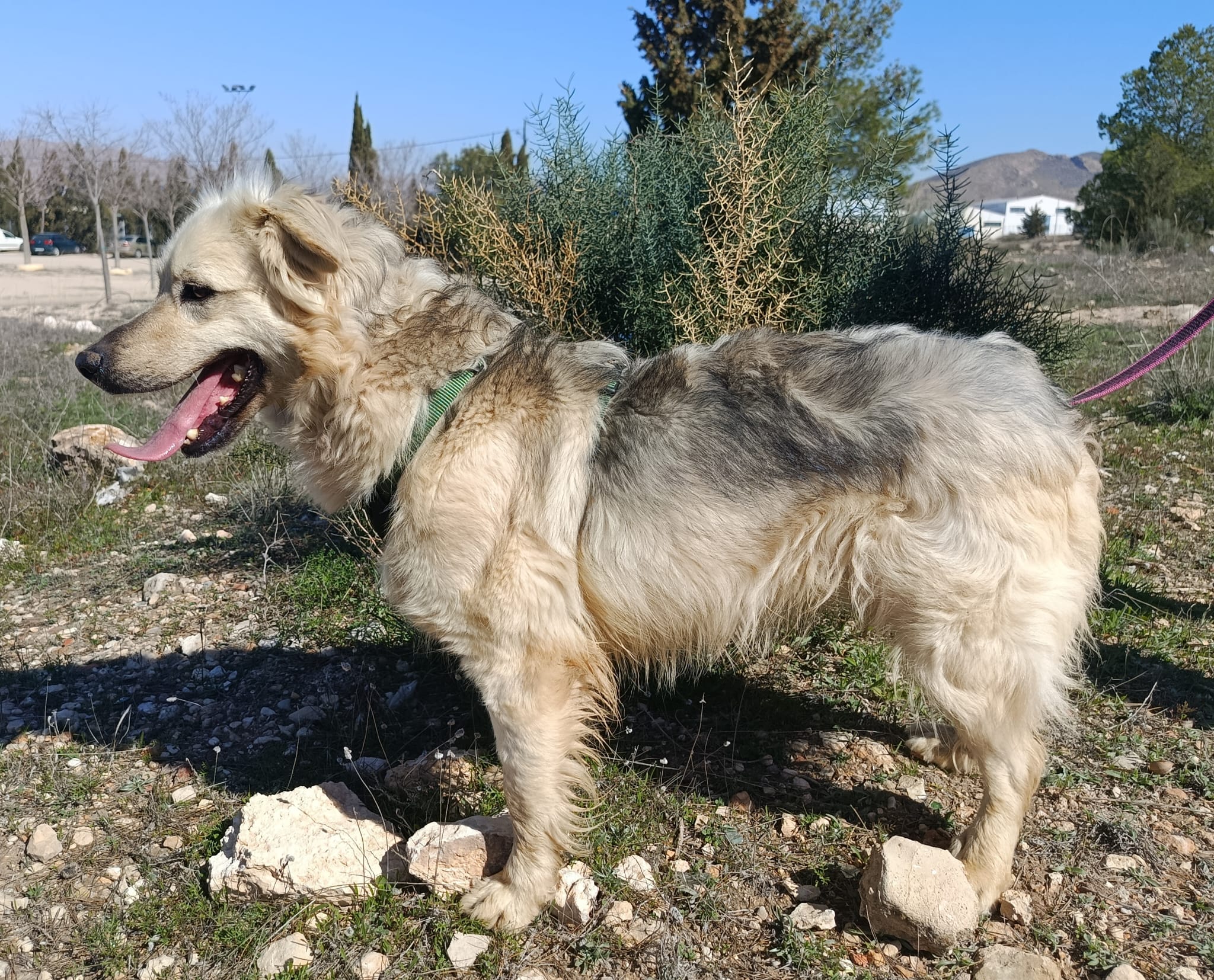 WhatsApp Image 2026-02-24 at 12.29.42 (1)