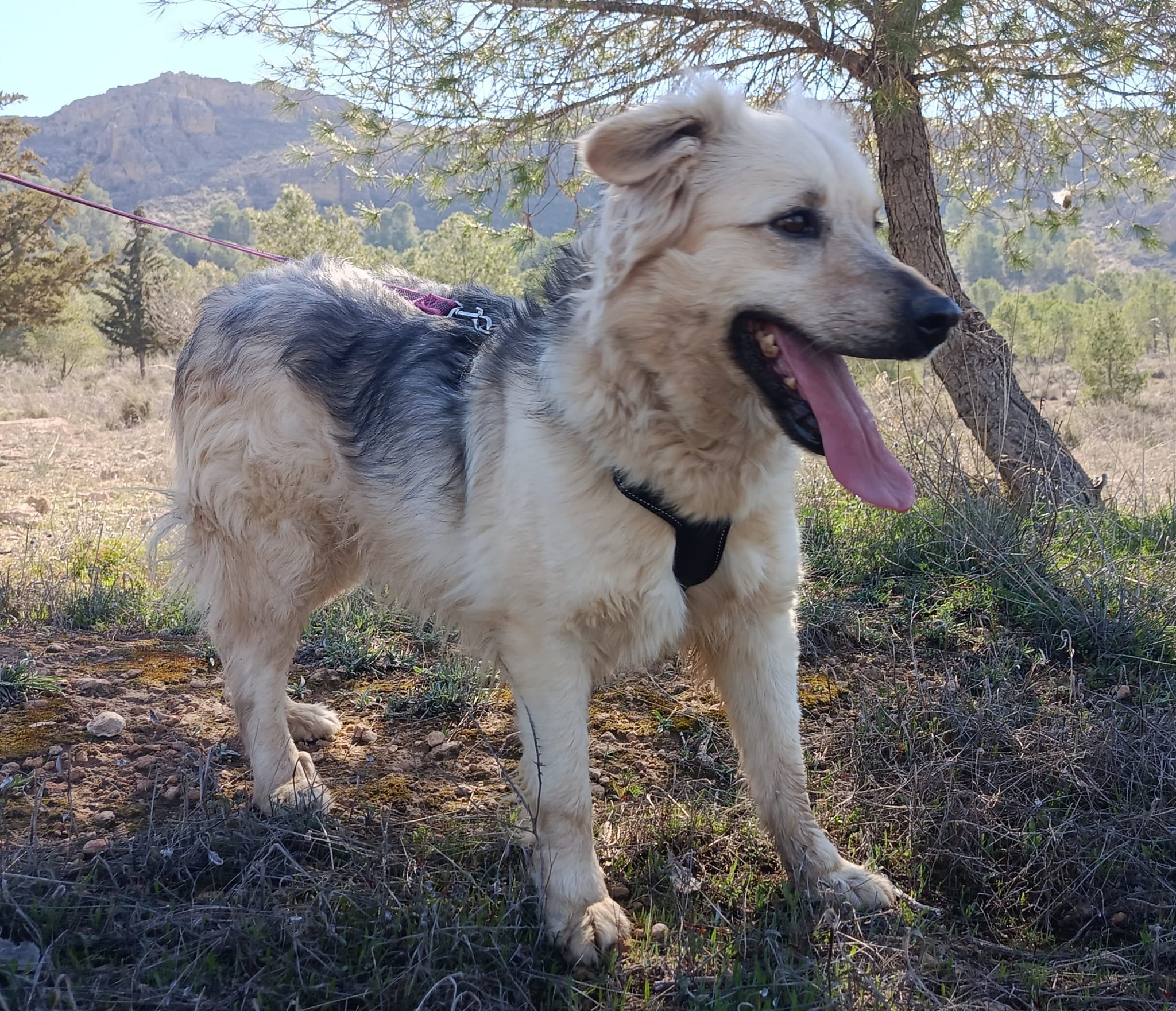 WhatsApp Image 2026-02-24 at 12.29.42