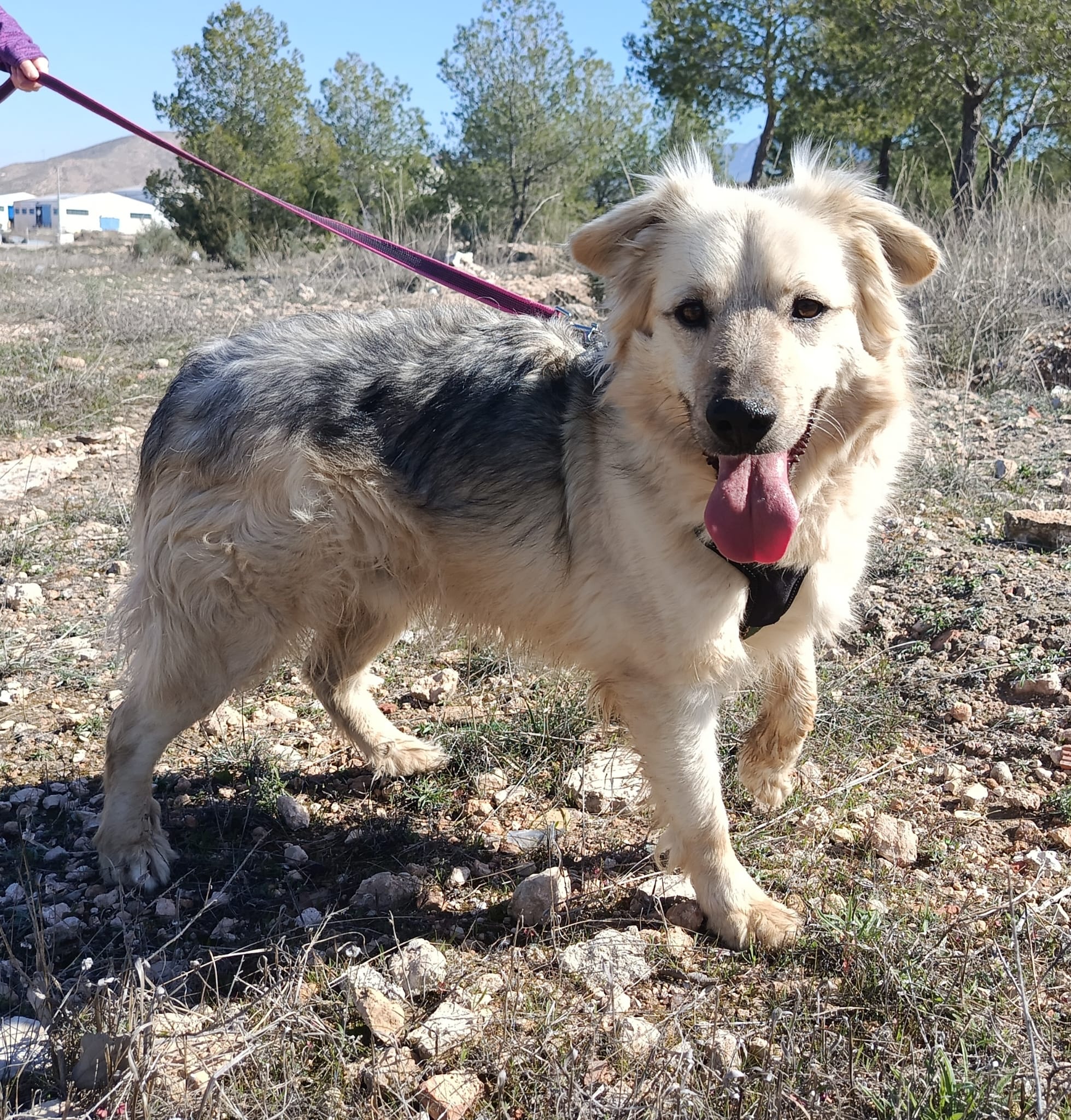 WhatsApp Image 2026-02-24 at 12.29.43 (1)