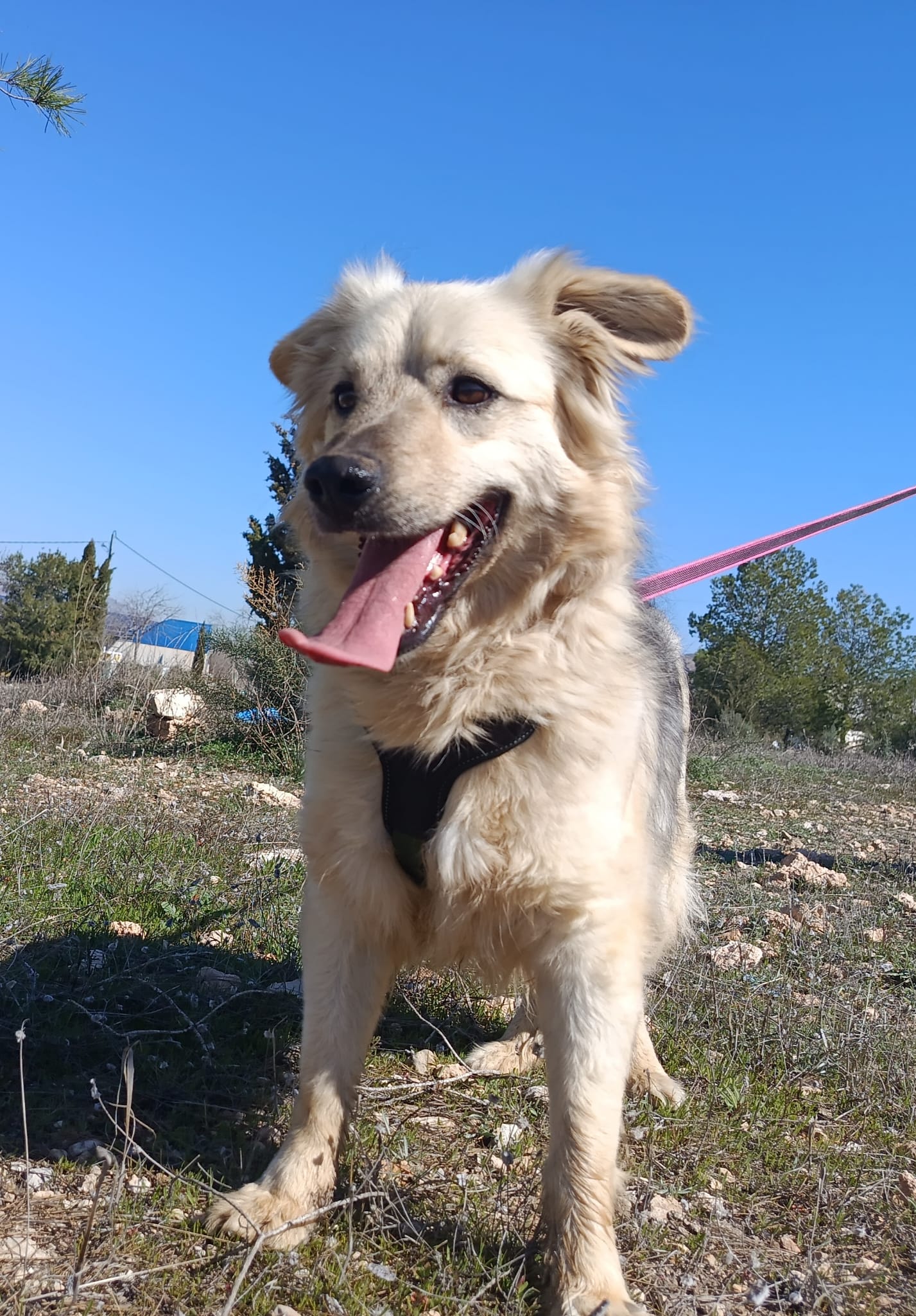 WhatsApp Image 2026-02-24 at 12.29.43 (2)