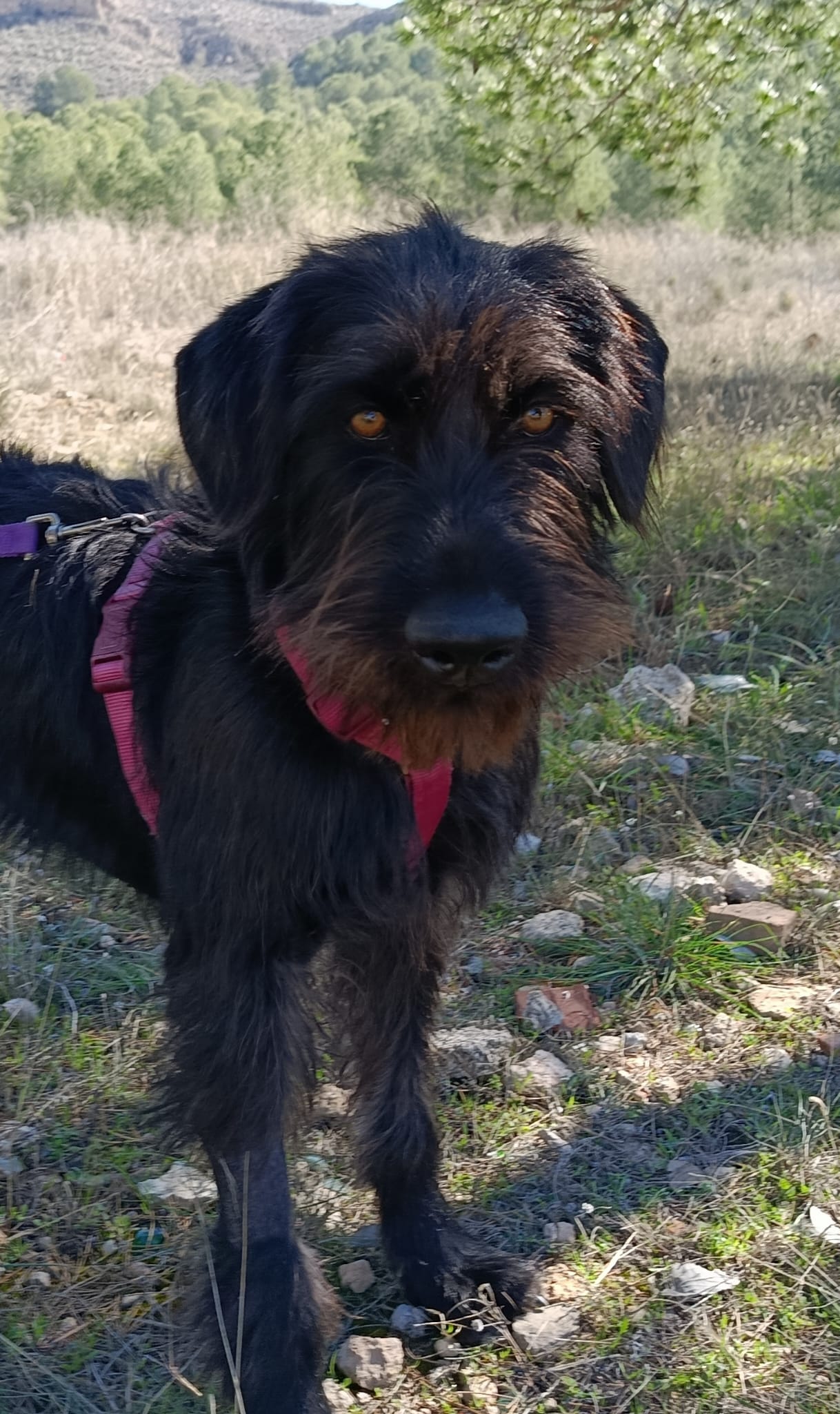 WhatsApp Image 2026-02-24 at 13.16.31 (1)