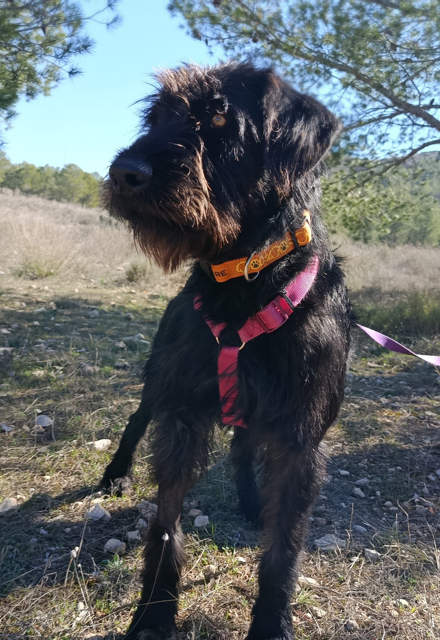 WhatsApp Image 2026-02-24 at 13.16.31 (2)