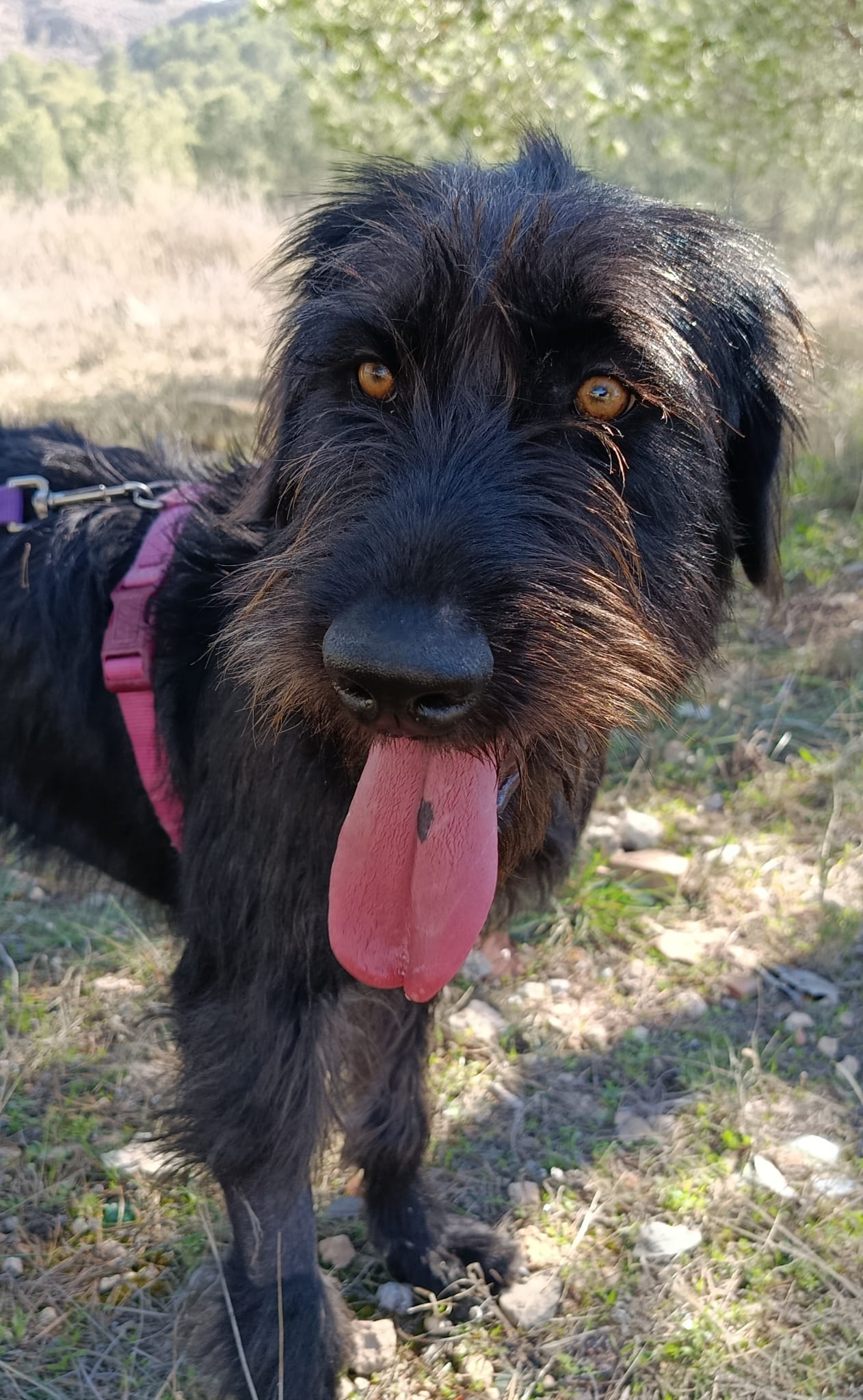 WhatsApp Image 2026-02-24 at 13.16.31