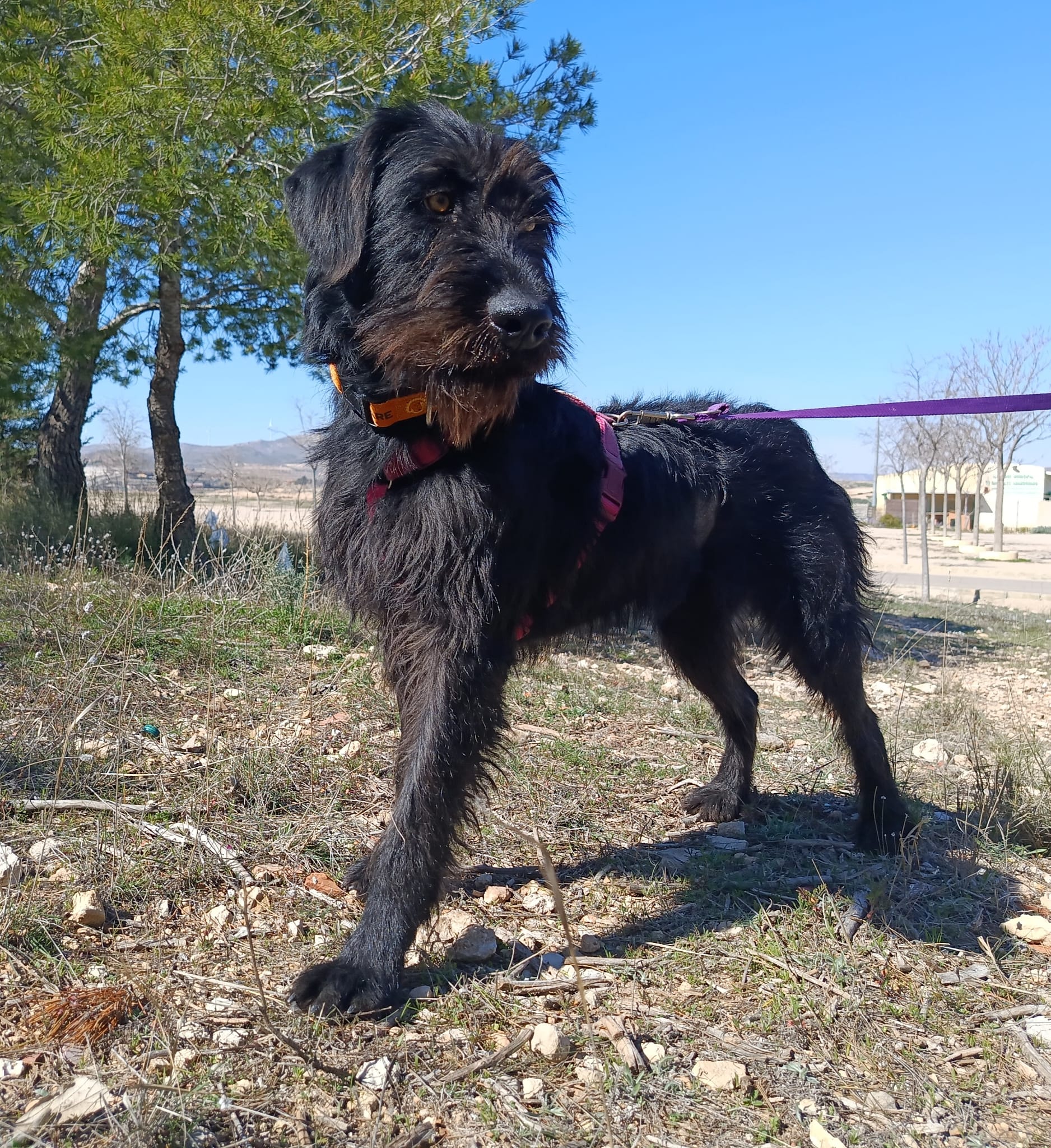 WhatsApp Image 2026-02-24 at 13.16.32 (1)