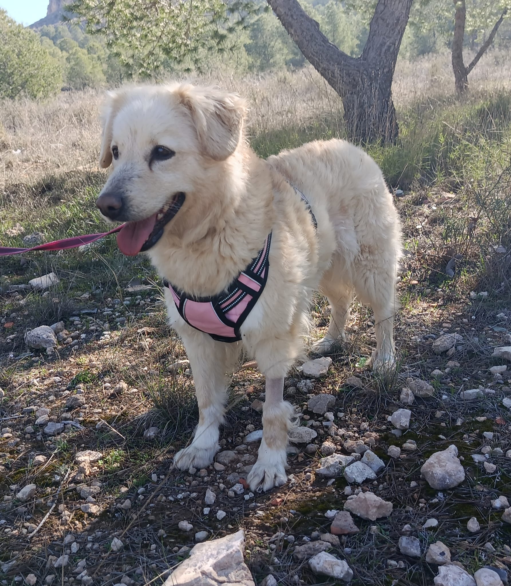 WhatsApp Image 2026-02-24 at 17.02.43 (1)