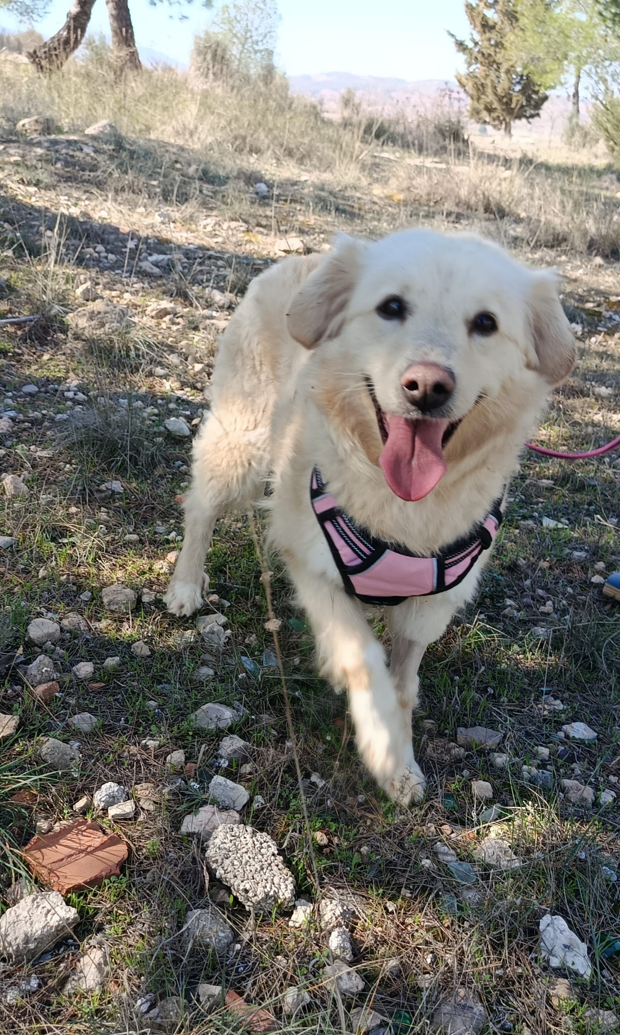 WhatsApp Image 2026-02-24 at 17.02.43 (2)